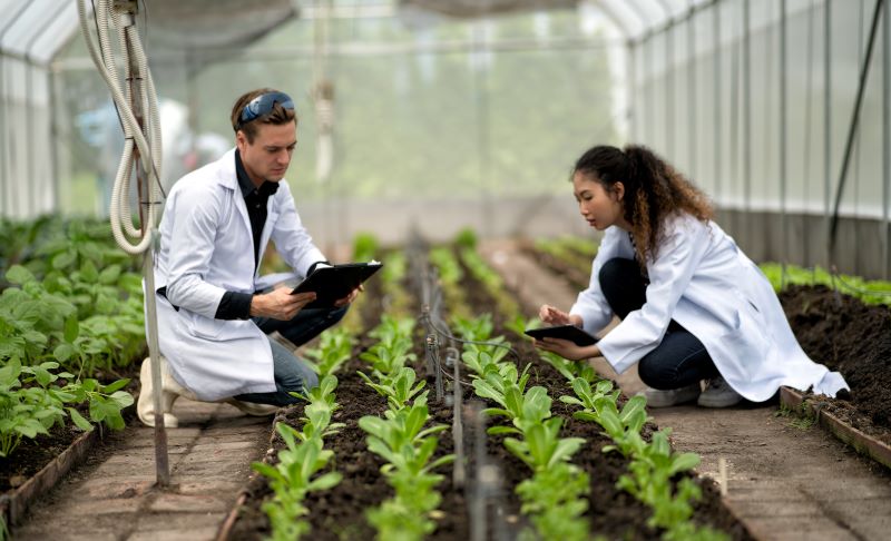 Applying Genomics to Environmental Conservation and Agricultural Advancements